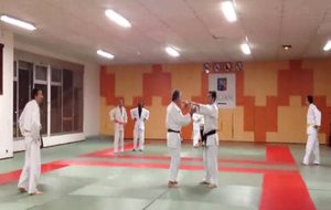 Entraînement Jujitsu