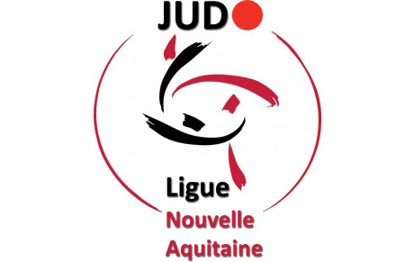 Entraînement de masse - Judo